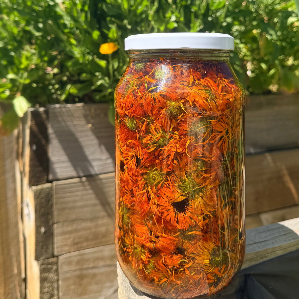 Calendula + Shea Lip Balm
