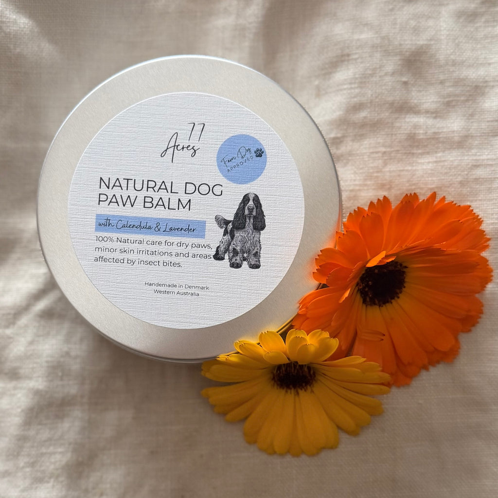 Natural Dog Paw Balm - Calendula + Lavender