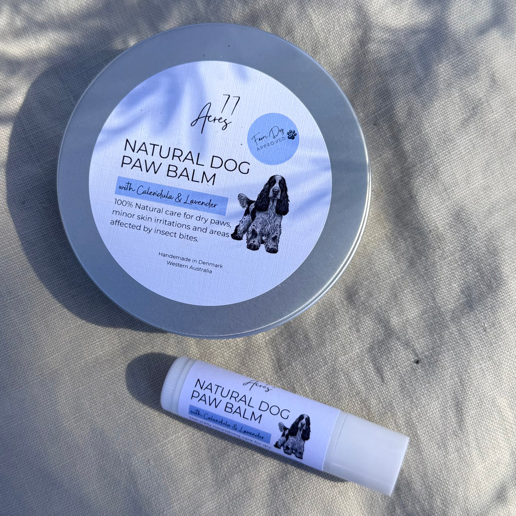Natural Dog Paw Balm - Travel Size
