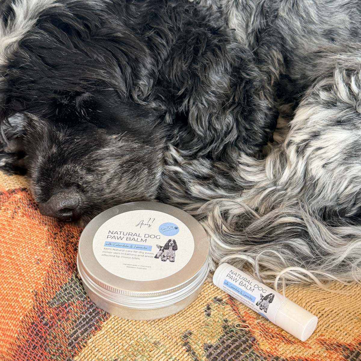 Natural Dog Paw Balm - Travel Size