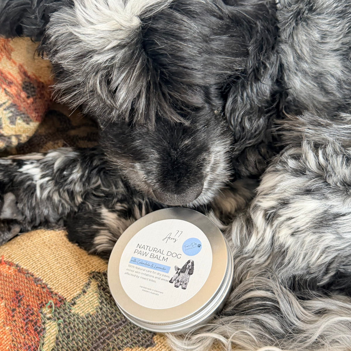 Natural Dog Paw Balm - Calendula + Lavender