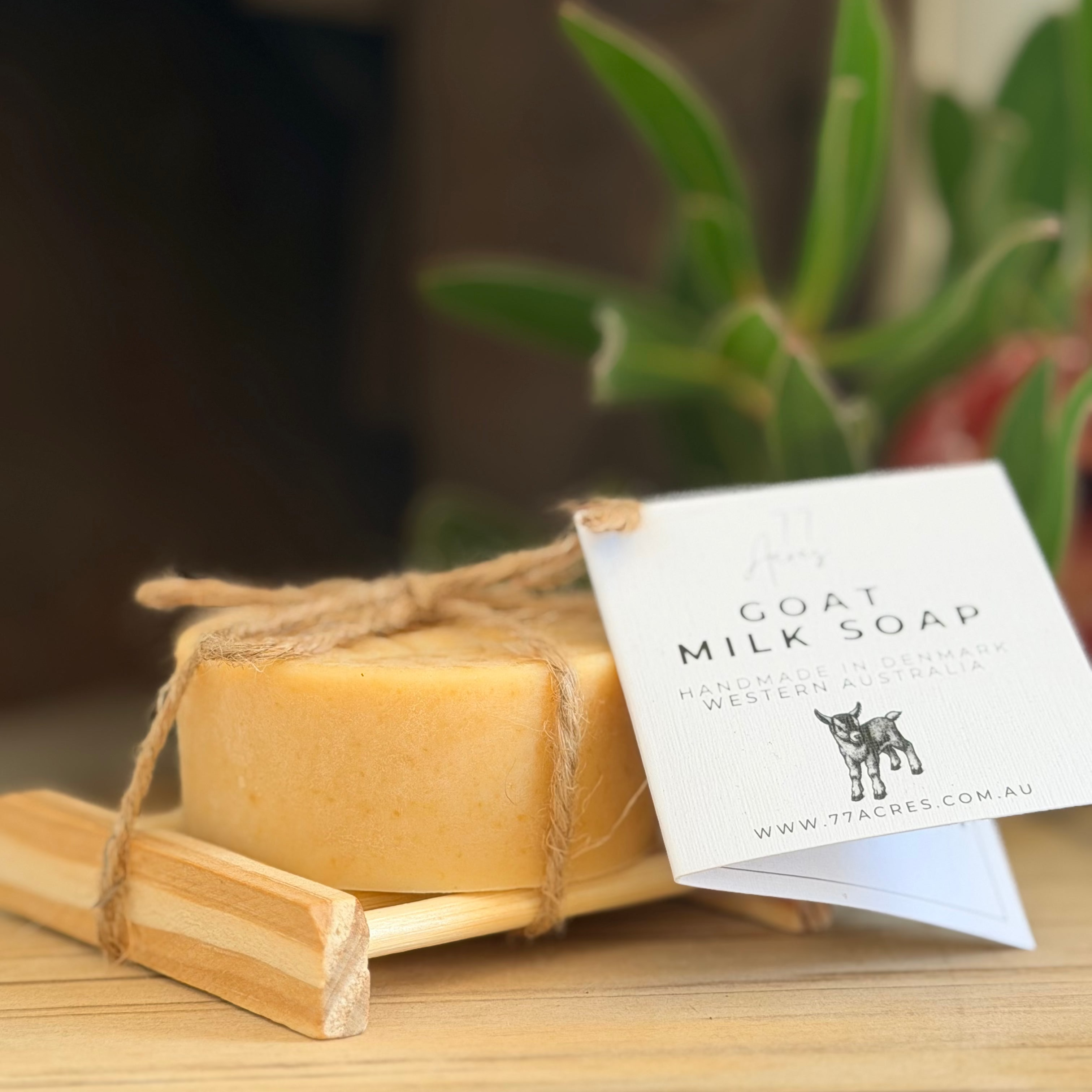 Gift Pack - Lemon Myrtle Goat Milk Soap with Drying Dish