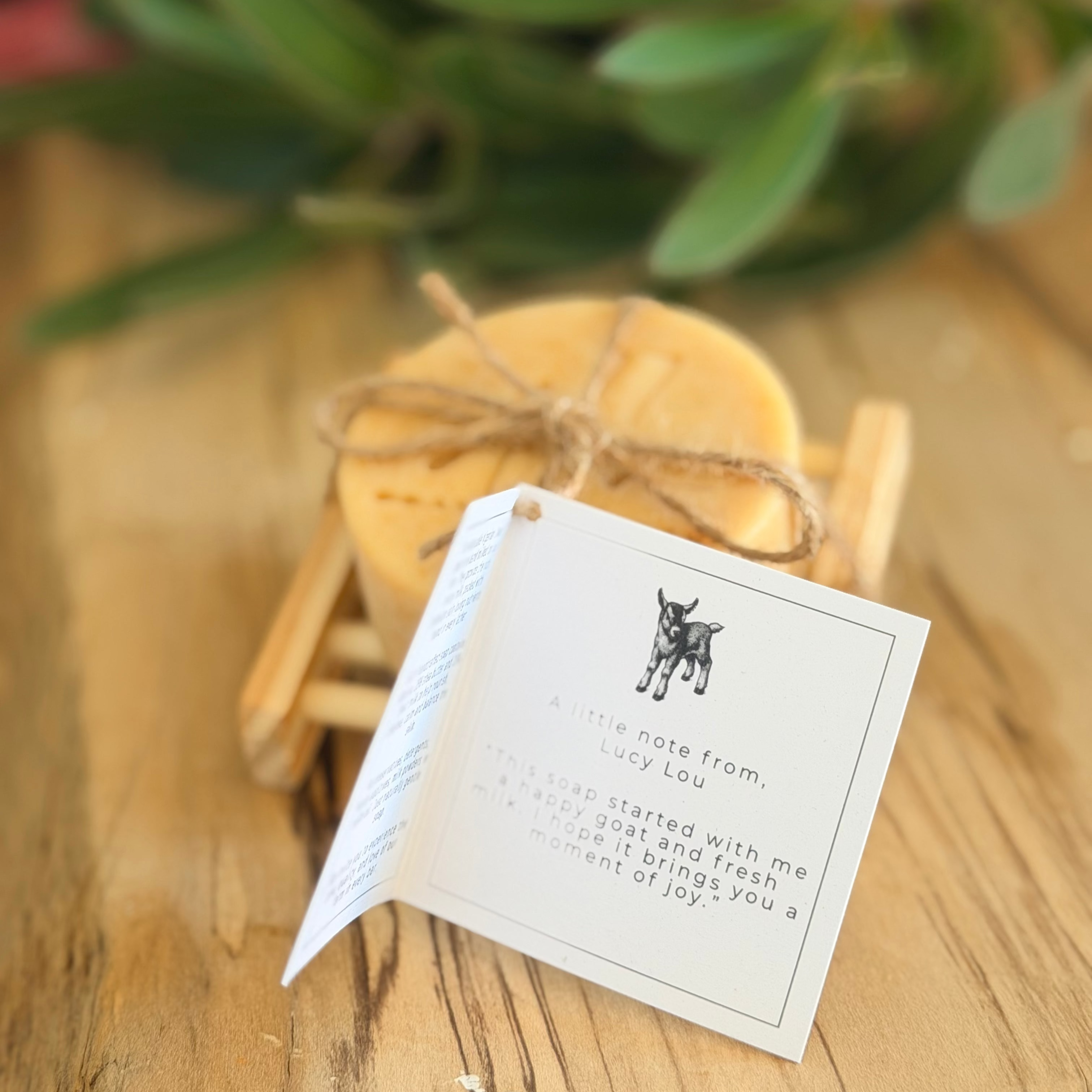 Gift Pack - Lemon Myrtle Goat Milk Soap with Drying Dish