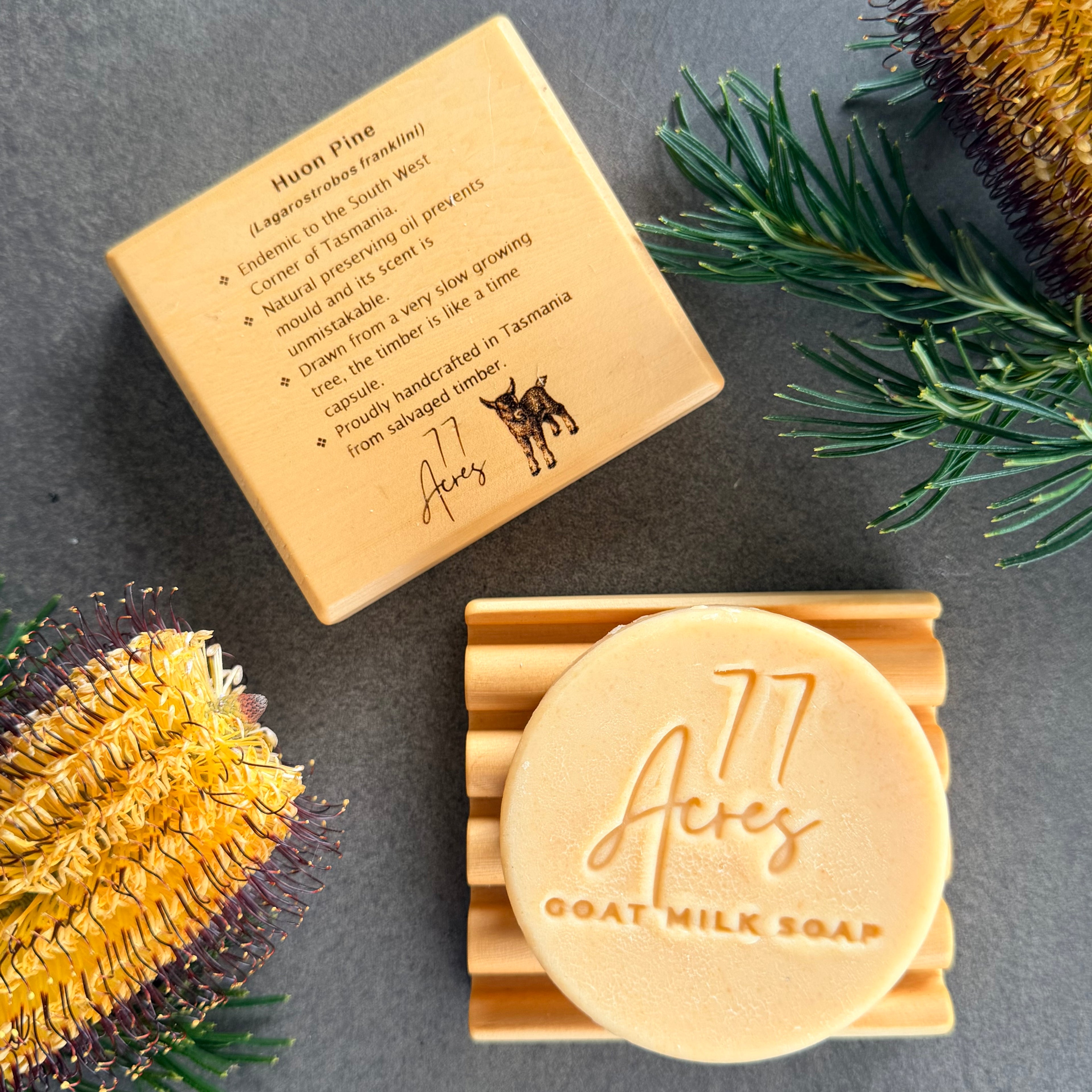 Lemon Myrtle Goat Milk Soap for sensitive skin positioned on a reclaimed huon timber soap dish. 