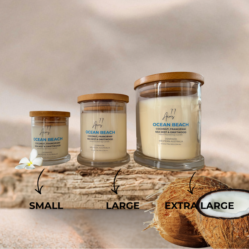 Three sizes of 'Ocean Beach' candles on a wooden surface with a blurred beach background.