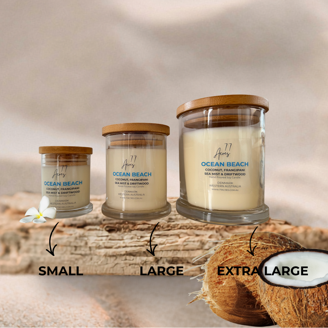 Three sizes of 'Ocean Beach' candles on a wooden surface with a blurred beach background.