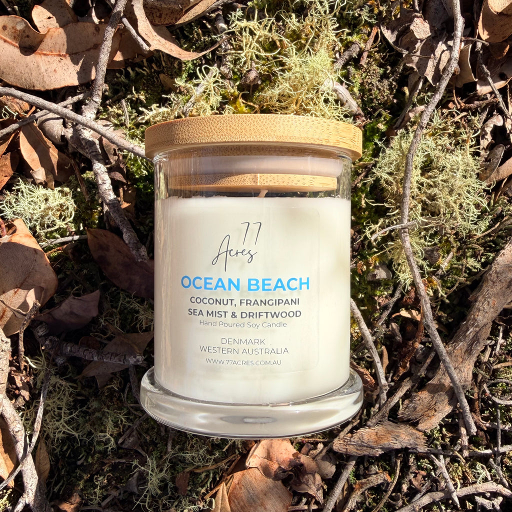 A hand-poured soy candle in a clear glass jar with a light wood lid, labeled 'Ocean Beach' by the brand '77 Acres', placed on a bed of dried leaves and moss outdoors.