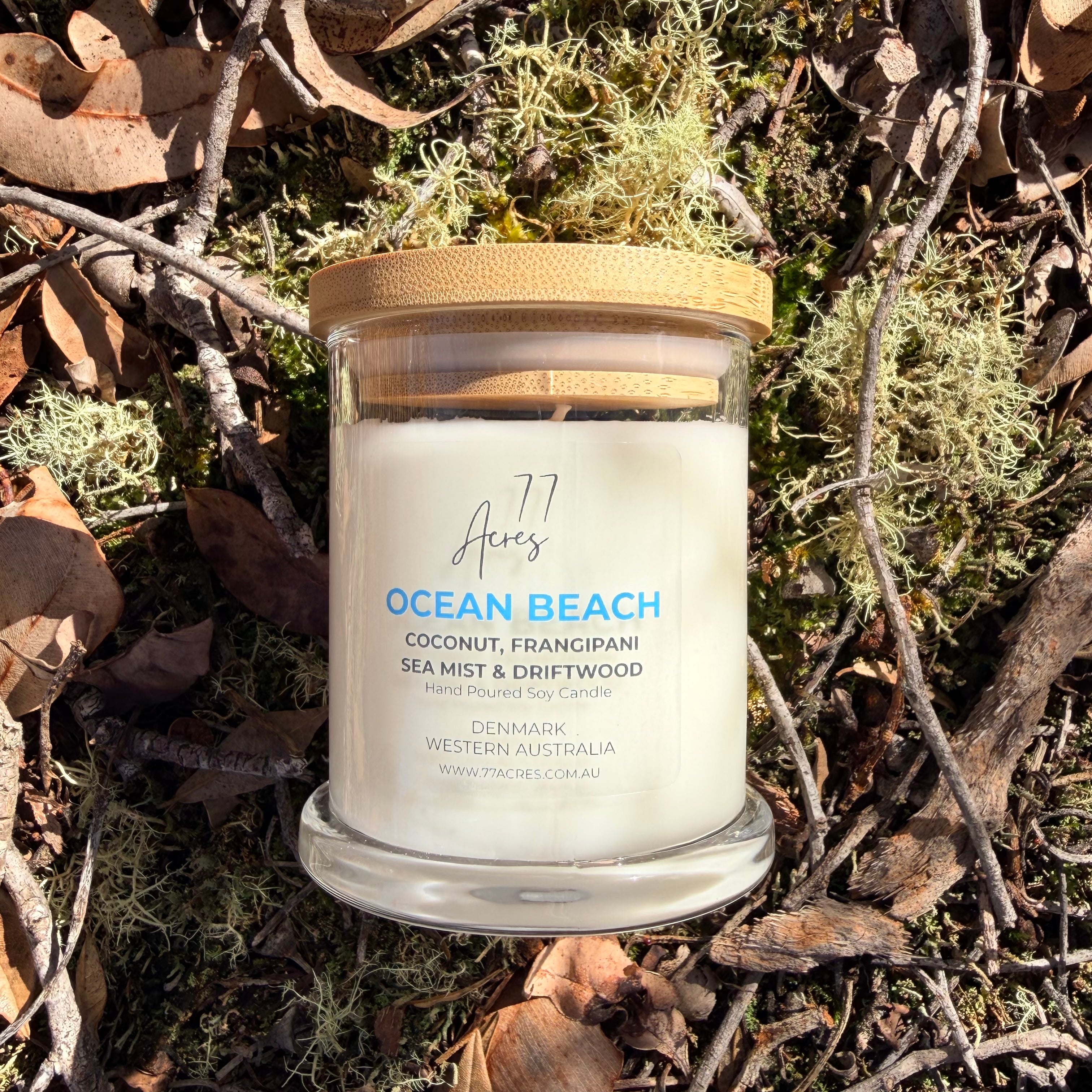 A hand-poured soy candle in a clear glass jar with a light wood lid, labeled 'Ocean Beach' by the brand '77 Acres', placed on a bed of dried leaves and moss outdoors.
